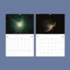 Trouvelot Wall Calendar