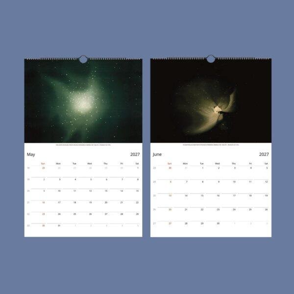 Trouvelot Wall Calendar