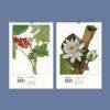 Wild Flowers Wall Calendar