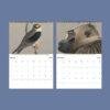 Wildlife Calendar