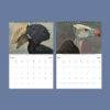 Wildlife Calendar