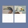 Wildlife Calendar