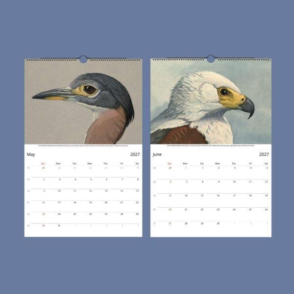 Wildlife Calendar