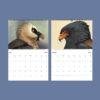 Wildlife Calendar