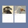 Wildlife Calendar