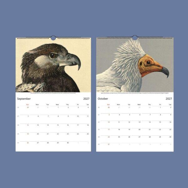 Wildlife Calendar