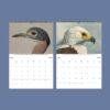 Ethiopian Wildlife Wall Calendar
