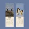 Penguin Wall Calendar
