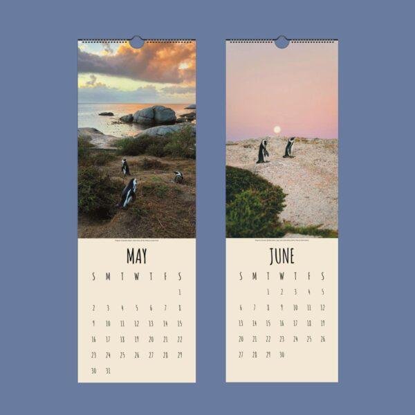 Penguin Wall Calendar