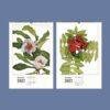 Wild Flowers Wall Calendar