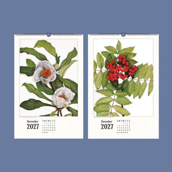 Wild Flowers Wall Calendar