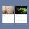 2027 wall calendar showing January and February pages