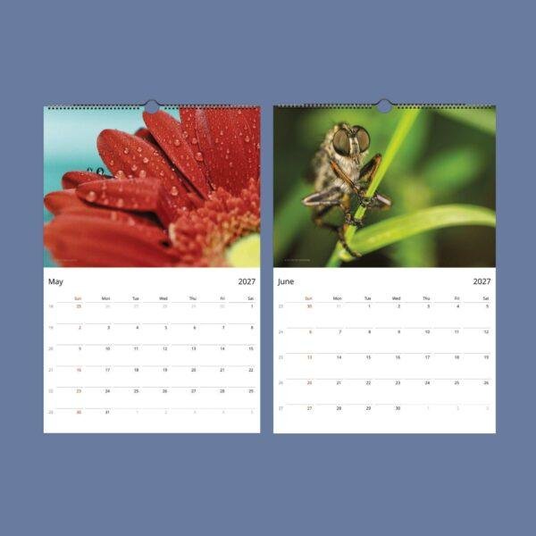2027 wall calendar showing May and June macro nature photos