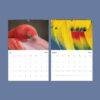 2027 wall calendar featuring flamingo and colorful feathers