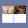 2027 nature wall calendar showing September and October pages