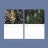 2027 wall calendar showing November mushrooms and December pine cones