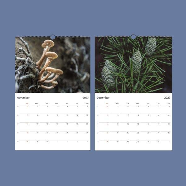 2027 wall calendar showing November mushrooms and December pine cones