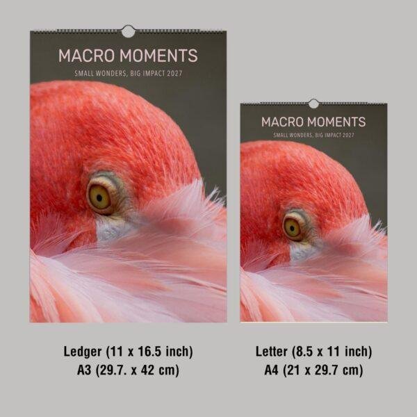Macro Moments 2027 wall calendar featuring flamingo close-up