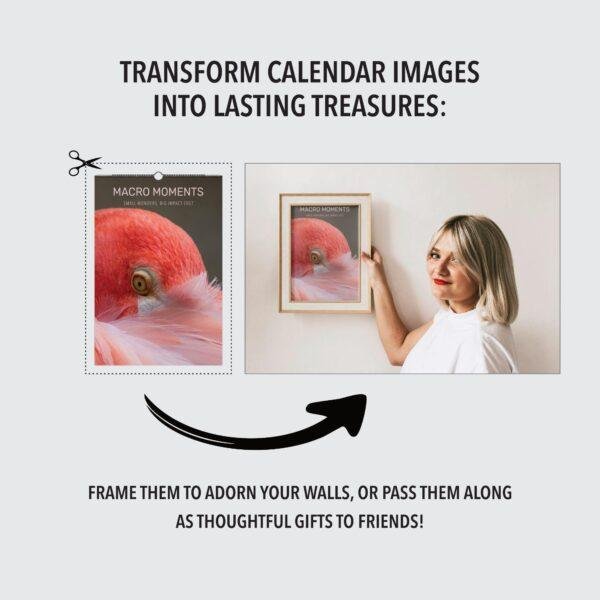Woman framing Macro Moments calendar bird photo on wall