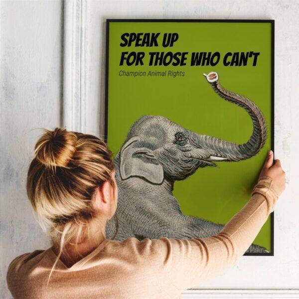 Wildlife Wall Art