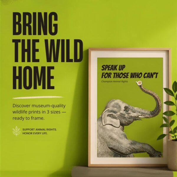 Wildlife Wall Art