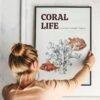 Marine Life Art