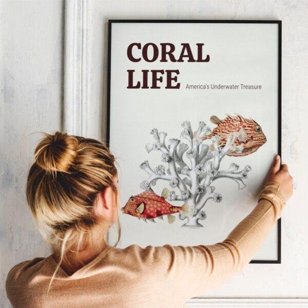 Marine Life Art