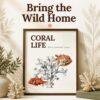 Marine Life Art