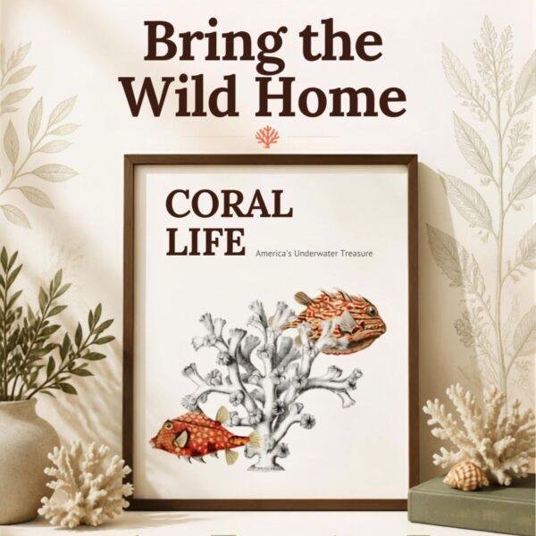 Marine Life Art
