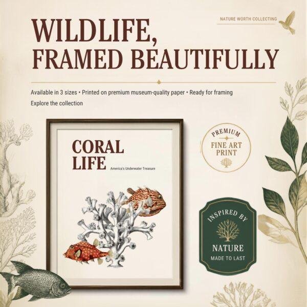 Marine Life Art