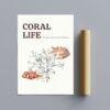 Marine Life Art