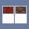 E.A. Séguy Wall Calendar