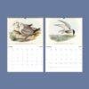 Bird Watching John Gould Wall Calendar