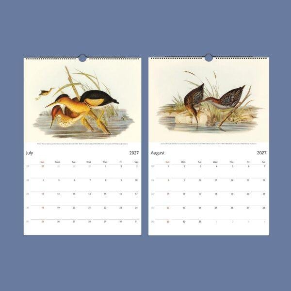 Bird Watching John Gould Wall Calendar