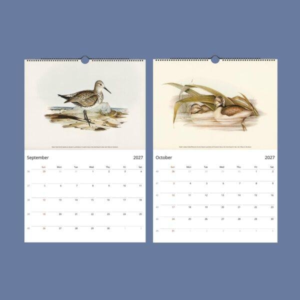 Bird Watching John Gould Wall Calendar
