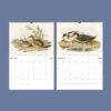 Bird Watching John Gould Wall Calendar