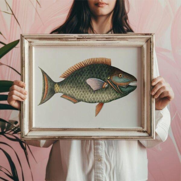 Woman holding framed vintage parrotfish botanical illustration