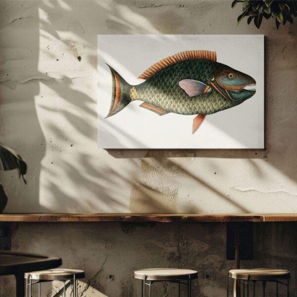 Vintage botanical fish illustration canvas art on cafe wall