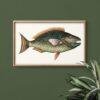 Vintage botanical fish illustration in wooden frame on green wall