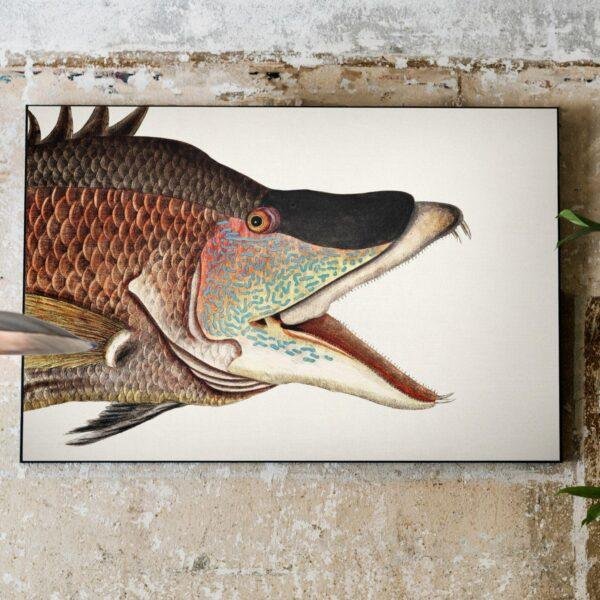Vintage botanical fish illustration canvas wall art