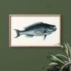 Vintage blue fish illustration in wooden frame on green wall