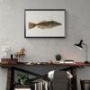 Vintage fish illustration framed above rustic wooden desk
