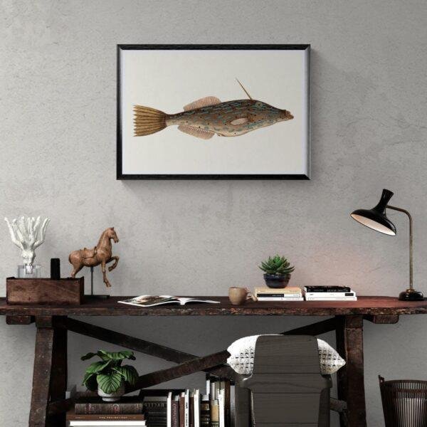 Vintage fish illustration framed above rustic wooden desk