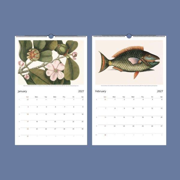 2027 wall calendar featuring vintage botanical and fish illustrations
