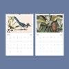 2027 wall calendar March April botanical bird illustrations