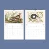 2027 wall calendar featuring vintage nature illustrations May June