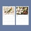 2027 wall calendar showing July parrot and August magnolia illustrations