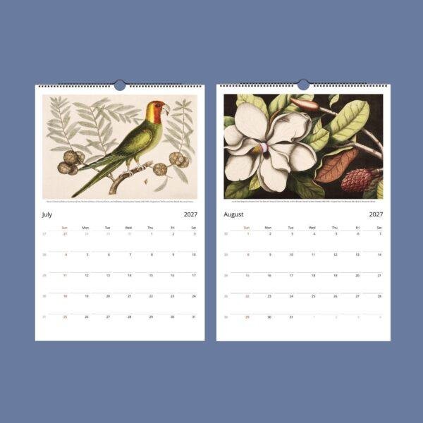 2027 wall calendar showing July parrot and August magnolia illustrations