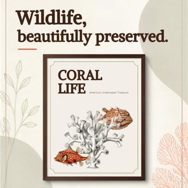 Marine Life Art