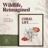 Marine Life Art